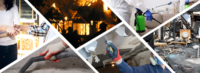 Wildfire Facts And Stats Supporting Wildfire Protection Plans In 2022 Forensic Analytical 